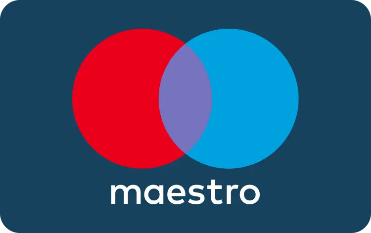maestro payment