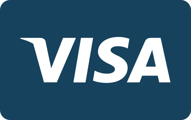 visa payment